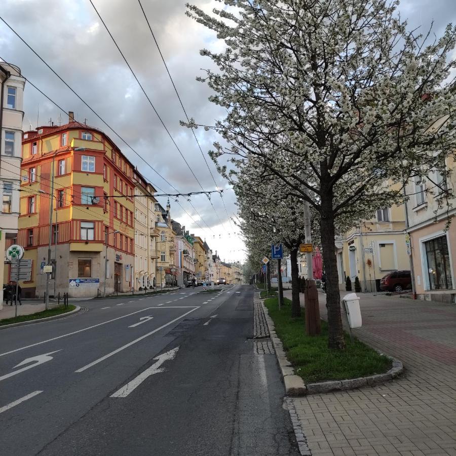 Apartman Friedrichsruh Apartment Mariánské Lázně Exterior foto